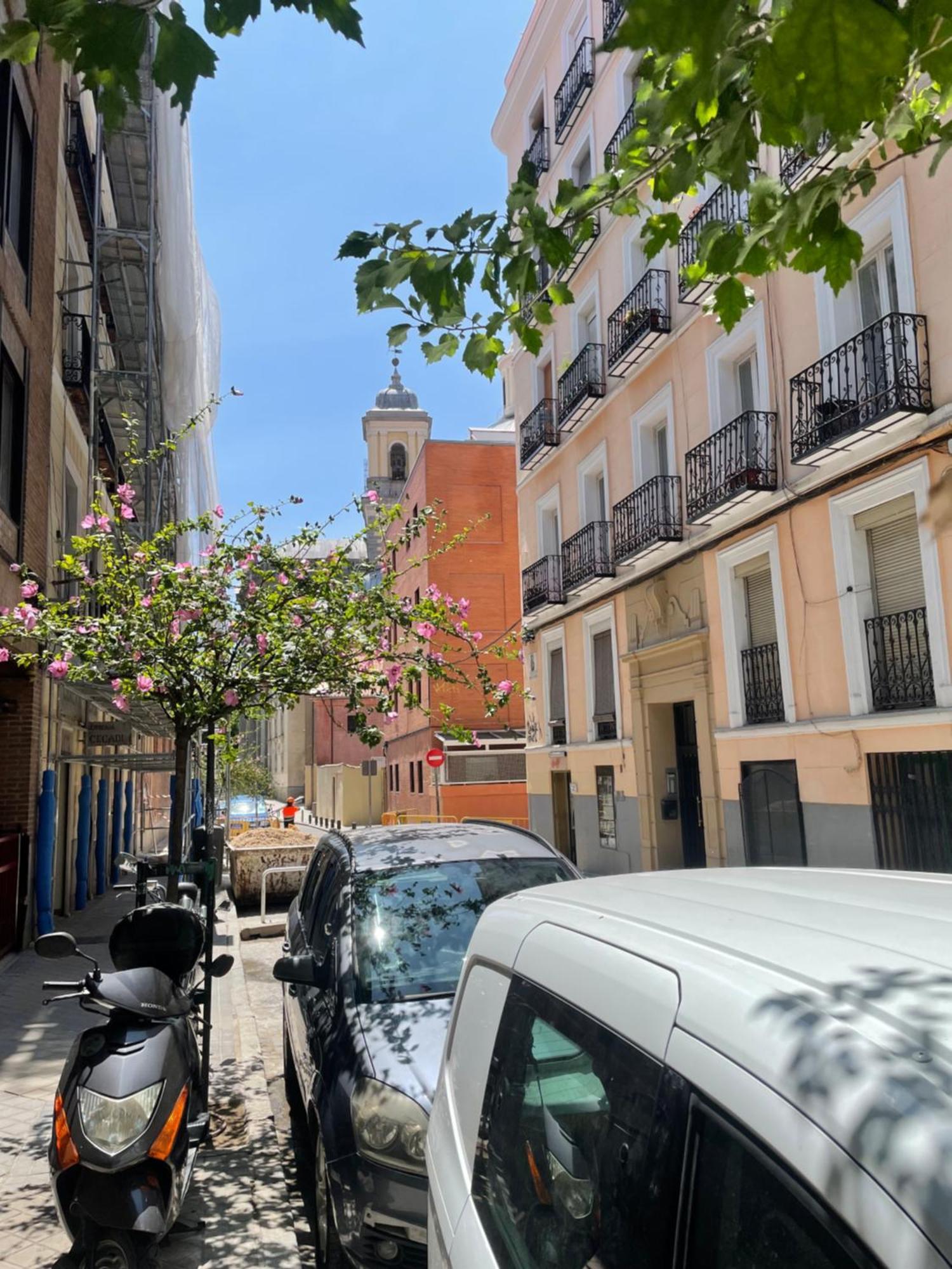 马德里San Buenaventura Vistillas Apartamento Para Dos公寓 外观 照片